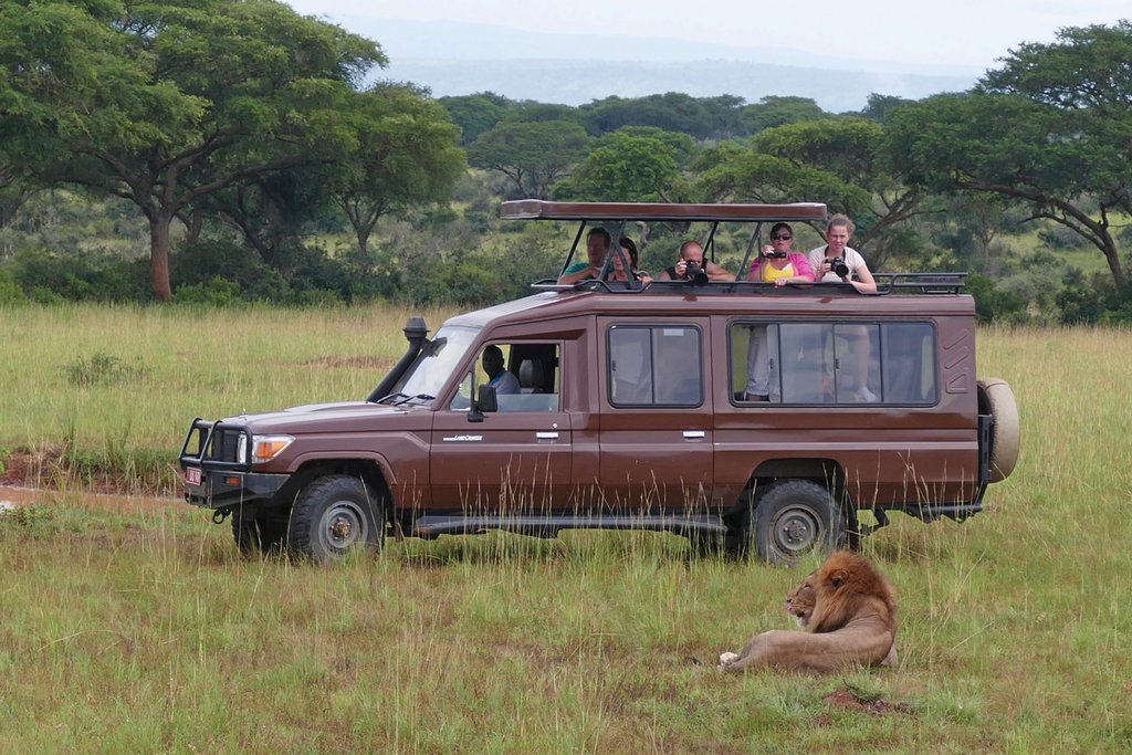 Habari Travel